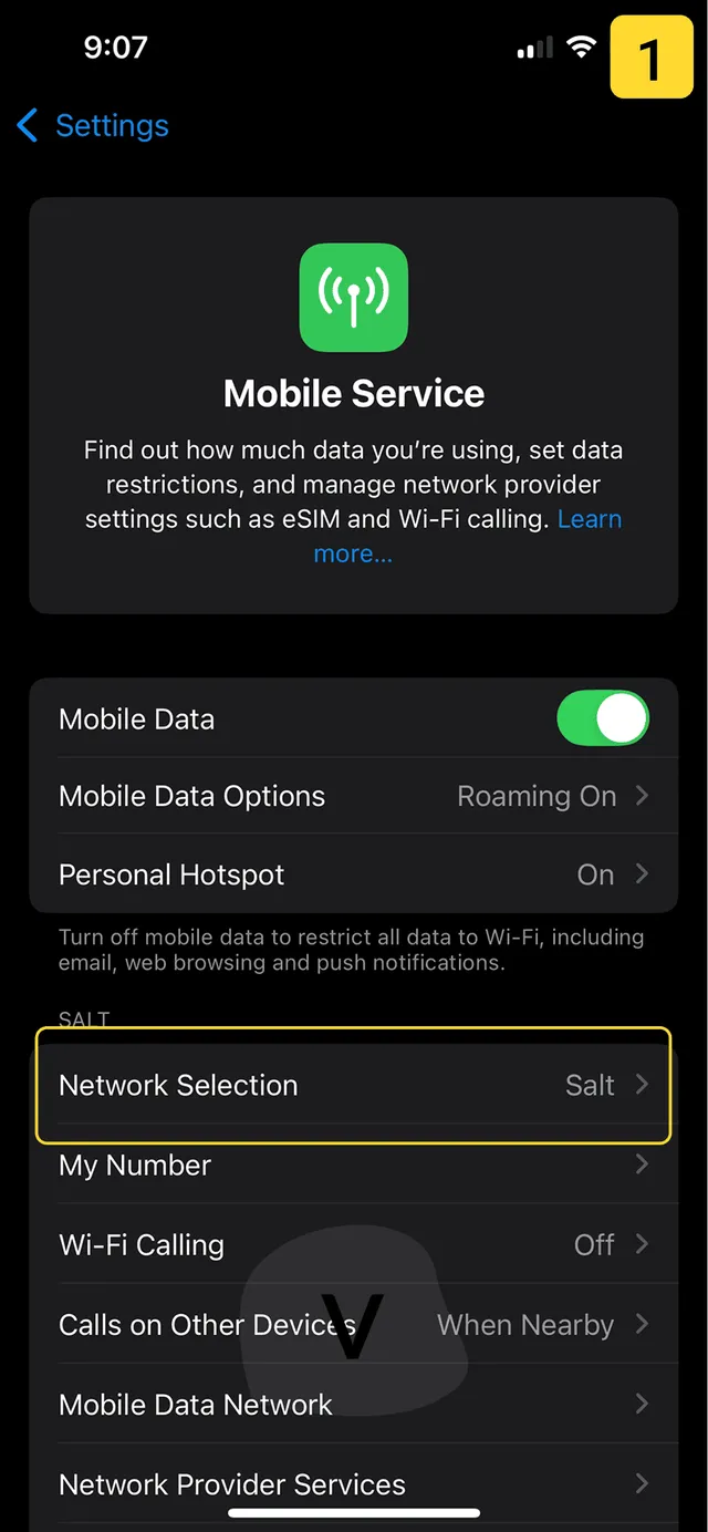 Changing mobile network on iPhone - step 1