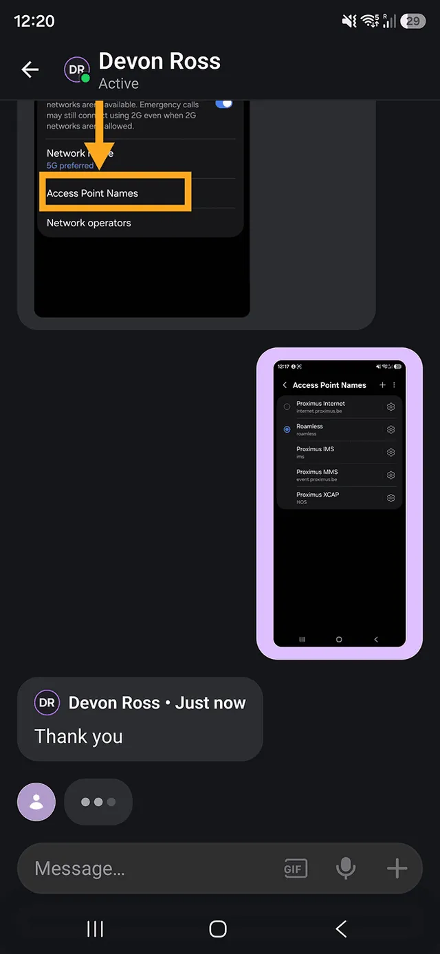 Roamless agent shows the APN settings